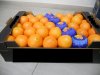 Knl: Narancs - NAVELINES -grg