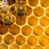 Keres: Méhviasz nagyobb mennyiségben, sürgősen
